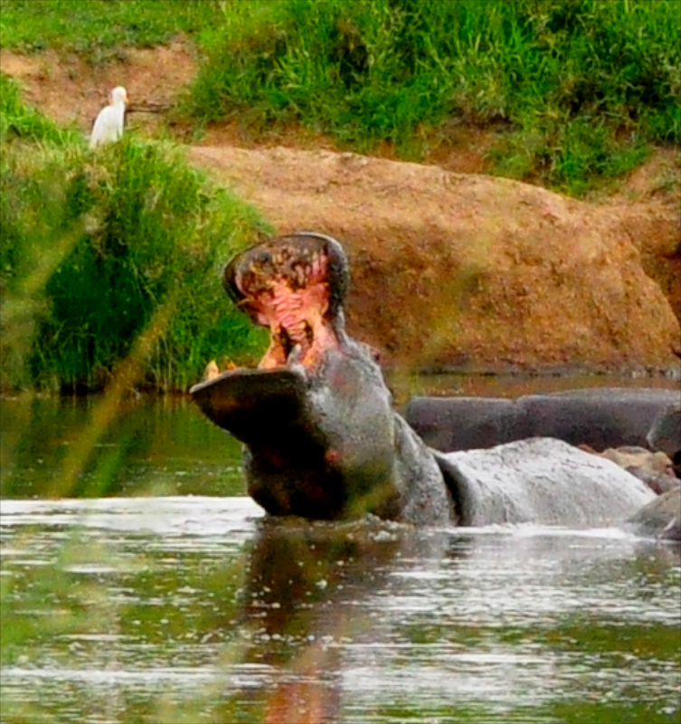 Melanie Heinrich Travel Images Africa